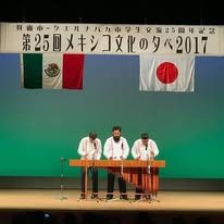 Presentación internacional de marimba